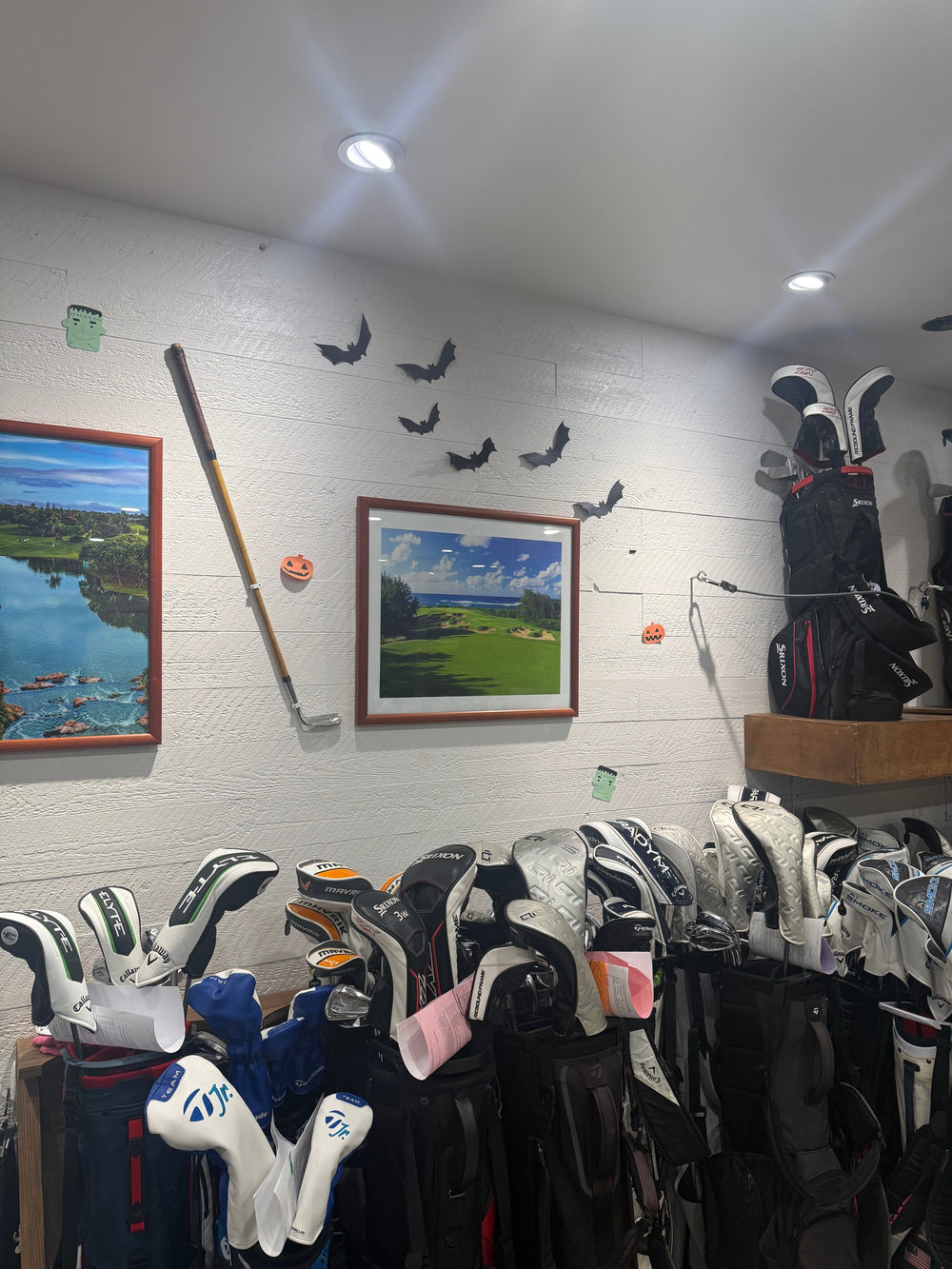 Hawaii Golf Club Rentals: Premium Brands, Custom Putters & Shaft Upgrades | 3- & 7-Day Specials