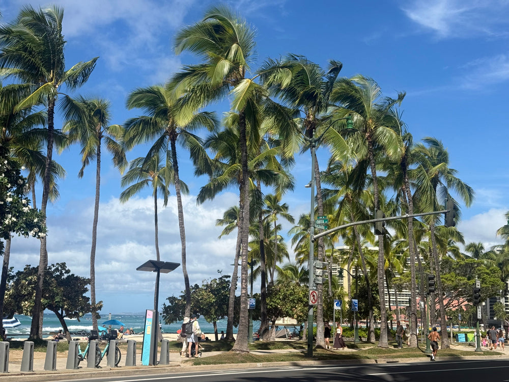Golf Club Rentals Hawaii: Hawaii’s Largest Rental Fleet in Waikiki